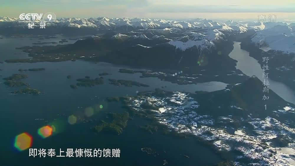 央视译制纪录片《野性阿拉斯加 Wild Alaska 2012》[全3集][中字][1080P][720P][网盘][资源下载]