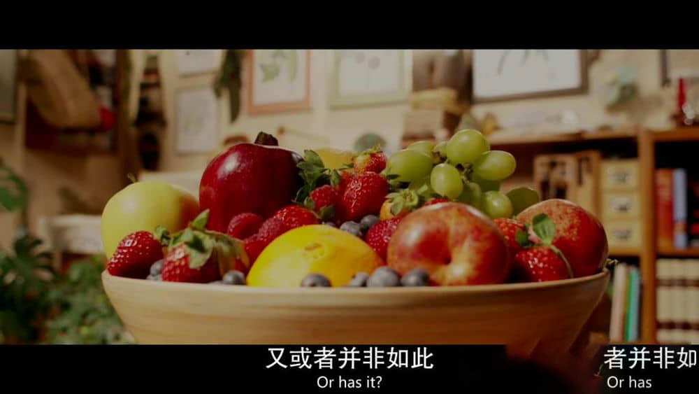 纪录电影《水果猎人 The Fruit Hunters 2012》[中英双字][720P][网盘][资源下载]