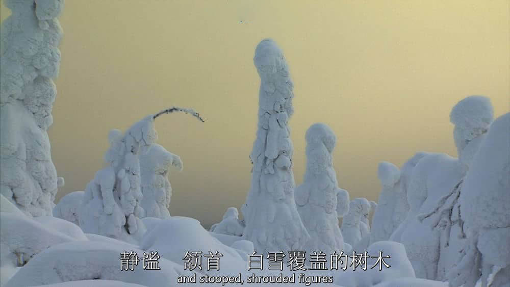 BBC纪录片《冰冻星球 Frozen Planet 2011》[全8集][中英双字][1080P][网盘][资源下载]