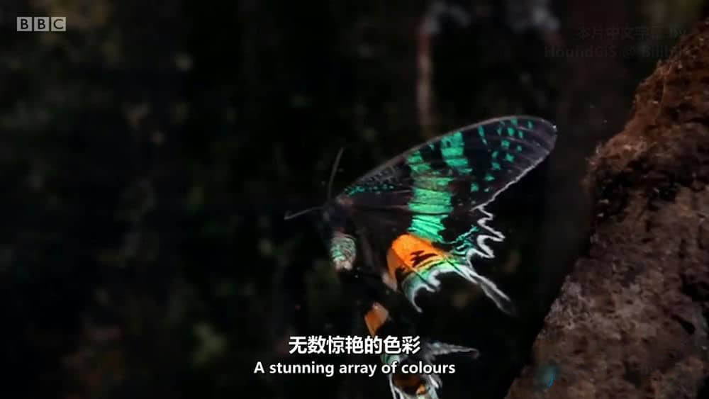 BBC纪录片《色彩的奥秘 Colour:The Spectrum of Science》[全3集][中英双字][720P][网盘][资源下载]