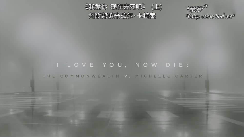 HBO纪录片《我爱你，现在去死吧 I Love You , Now Die:The Commonwealth Vs. Michelle Carter 2019》[全2集][中英双字][1080P][720P][网盘][资源下载]