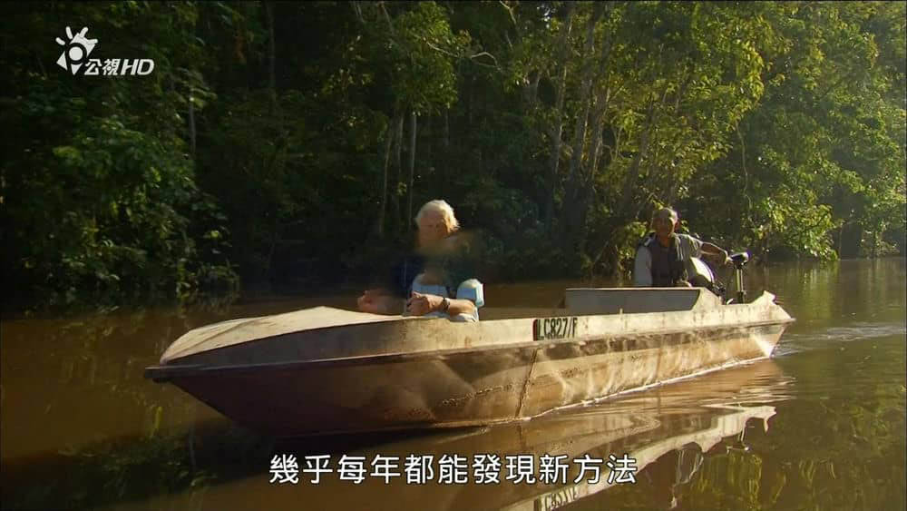 台湾公视译制纪录片《大卫爱登堡野外探索60年 Attenborough:60 Years in the Wild》[全3集][中字][1080P][网盘][资源下载]