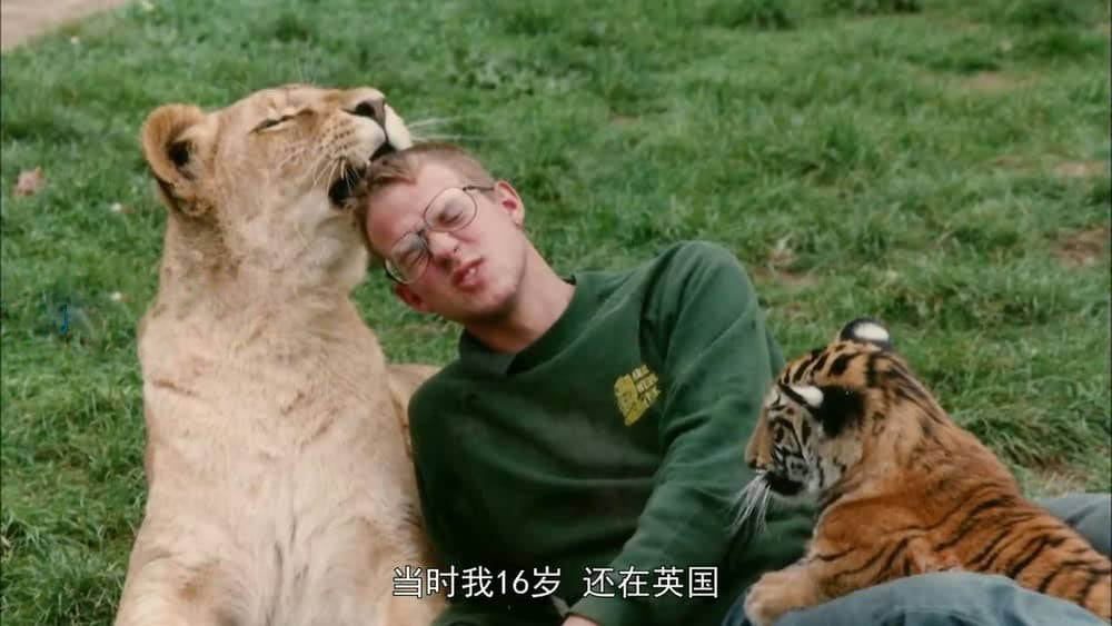 BBC纪录片《家有猛虎 与虎相伴 Tigers About the House》[全4集][中字][720P][网盘][资源下载]