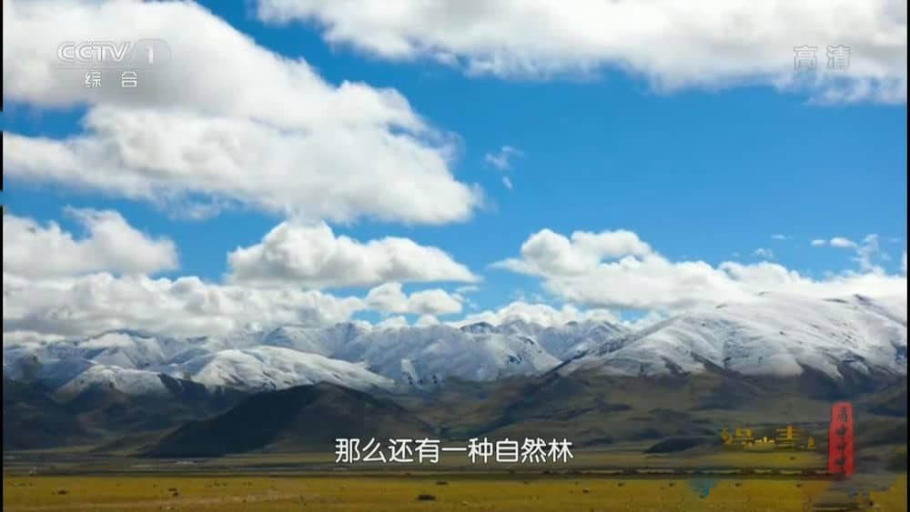 央视大型生态节目《绿水青山看中国》[全9集][中字][1080P][720P][网盘][资源下载]