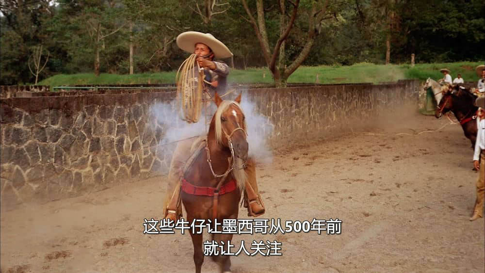 IMAX纪录片《乘骑文化 骑骋世界 Ride Around the World 2006》[全1集][无字幕][外挂字幕][1080P][720P][网盘][资源下载]