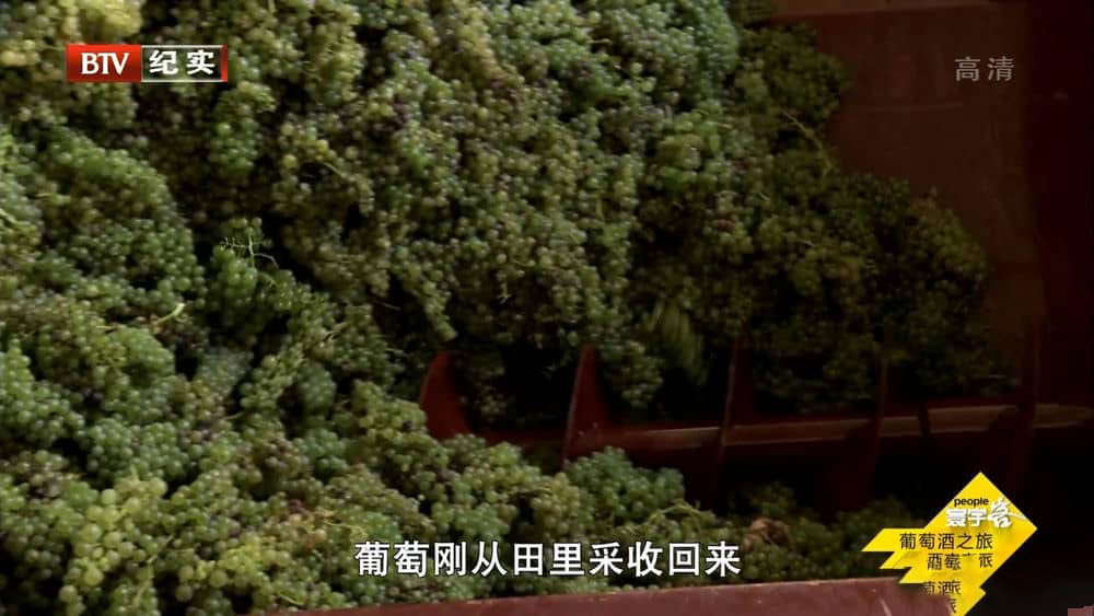 BTV译制纪录片《葡萄酒之旅 Wineroads》[全6集][中字][1080P][网盘][资源下载]