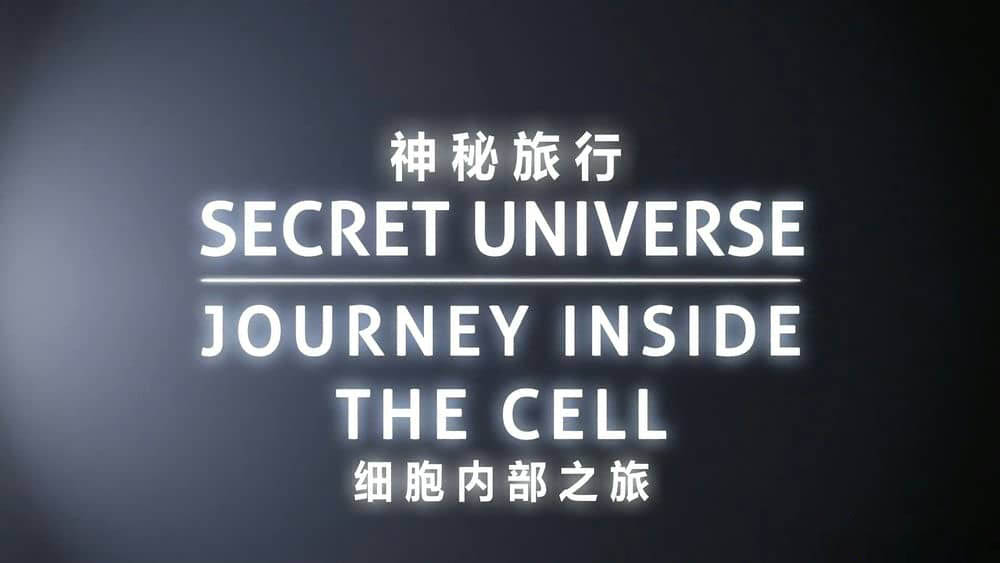 BBC纪录片《神秘旅行：细胞内部之旅 Secret Universe:Journey Inside the Cell 2012》[全1集][中字][1080P][网盘][资源下载]