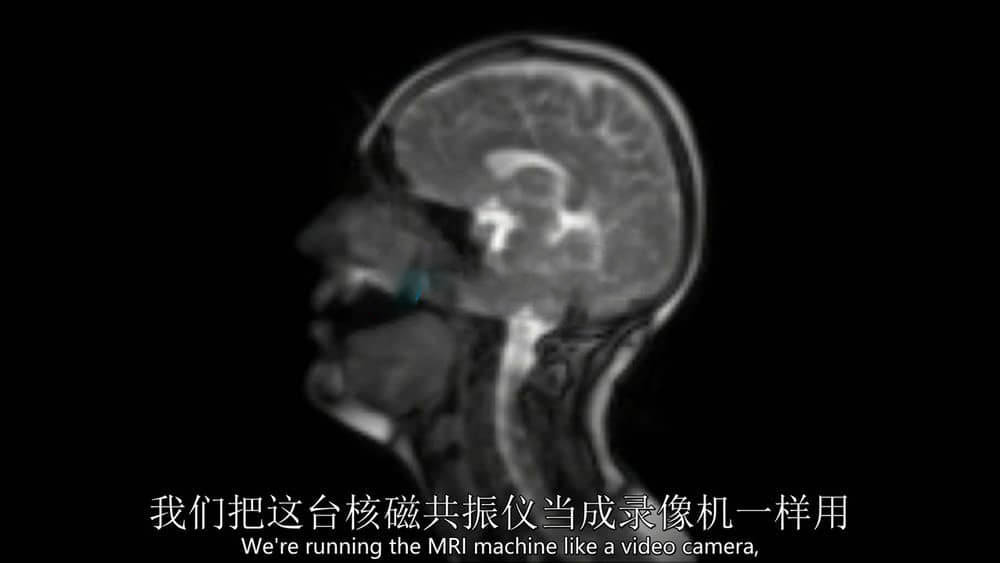 BBC纪录片《笑的科学 The Science of Laughter 2016》[全1集][无字幕][外挂字幕][720P][网盘][资源下载]