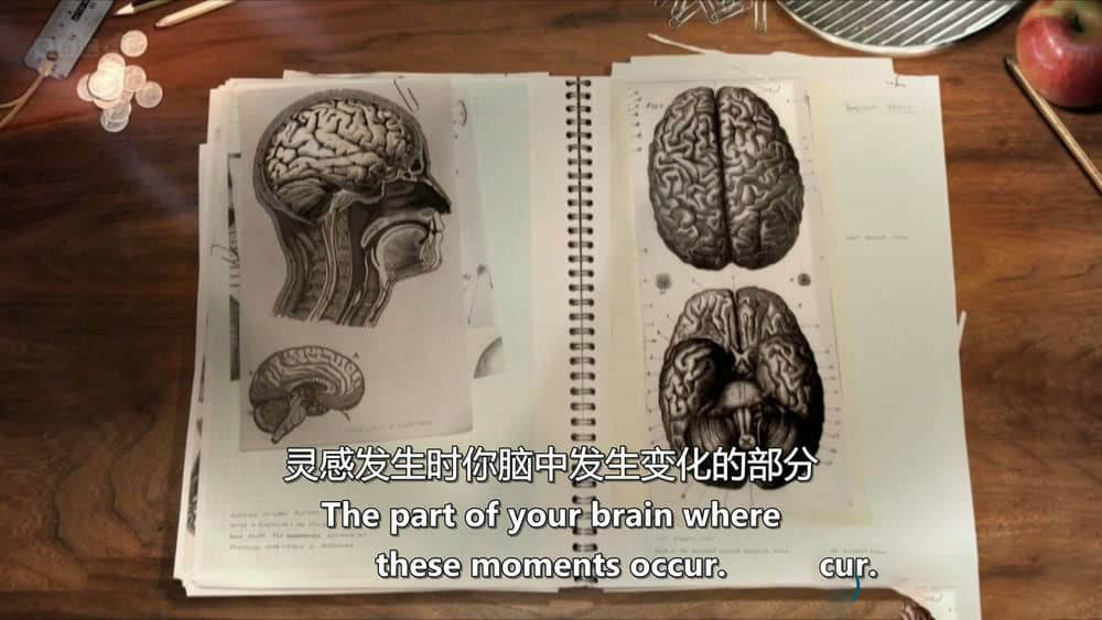 BBC纪录片《创造力 创意大脑：灵感从何而来 The Creative Brain:How Insight Works 2013》[全1集][无字幕][外挂字幕][720P][网盘][资源下载]