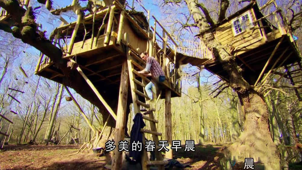 BBC纪录片《吉米的森林 Jimmy's Forest》[全4集][中字][720P][网盘][资源下载]