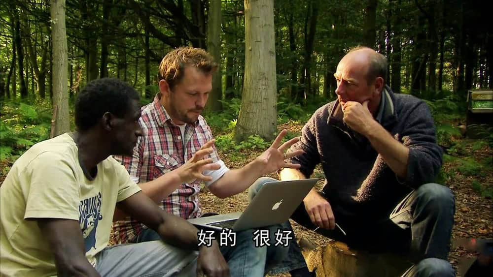 BBC纪录片《吉米的森林 Jimmy's Forest》[全4集][中字][720P][网盘][资源下载]