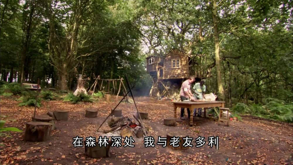 BBC纪录片《吉米的森林 Jimmy's Forest》[全4集][中字][720P][网盘][资源下载]