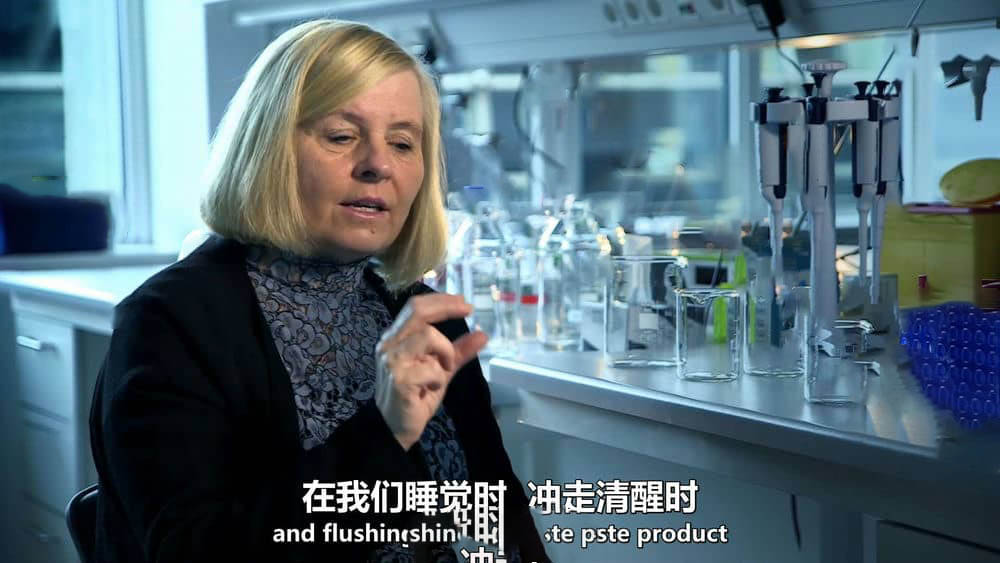 BBC纪录片《治愈阿尔茨海默病 Curing Alzheimer's 2016》[全1集][中英双字][1080P][网盘][资源下载]