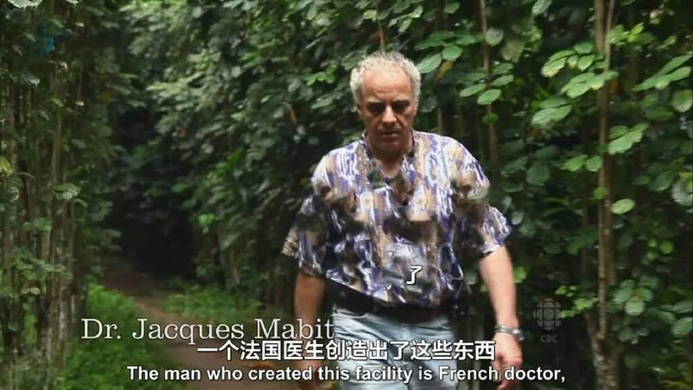 CBC纪录片《丛林秘药 The Jungle Prescription 2012》[全1集][中英双字][DVD画质][网盘][资源下载]