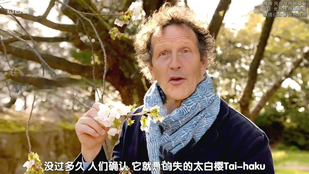 BBC纪录片《蒙顿 ·唐的日本花园之旅 Monty Don's Japanese Gardens 2019》[全2集][中字][720P][网盘][资源下载]