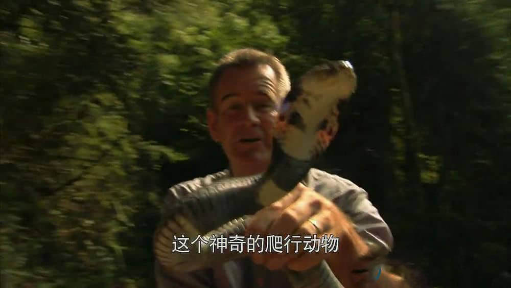 探索频道《未发现的中国 Untamed China With Nigel Marven》[全6集][中字][720P][网盘][资源下载]