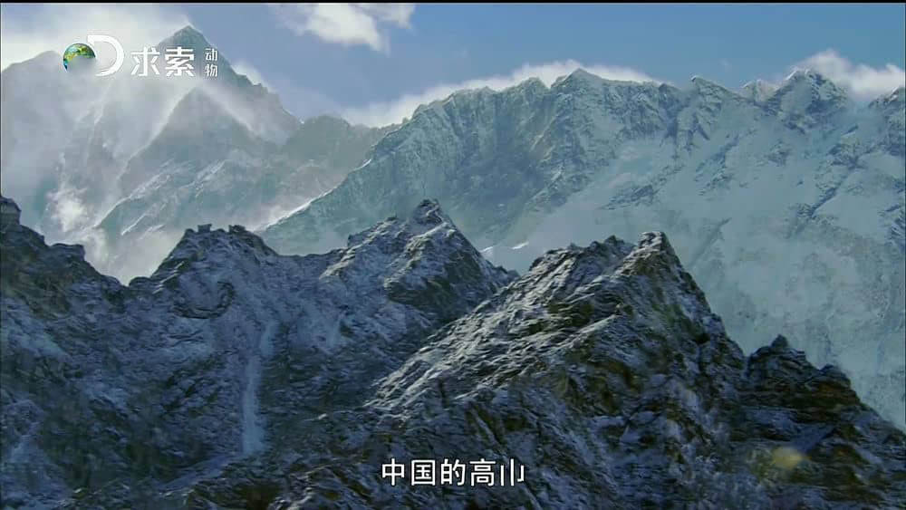 探索频道纪录片《地球变种》[第二季全6集][中字][1080P][网盘][资源下载]