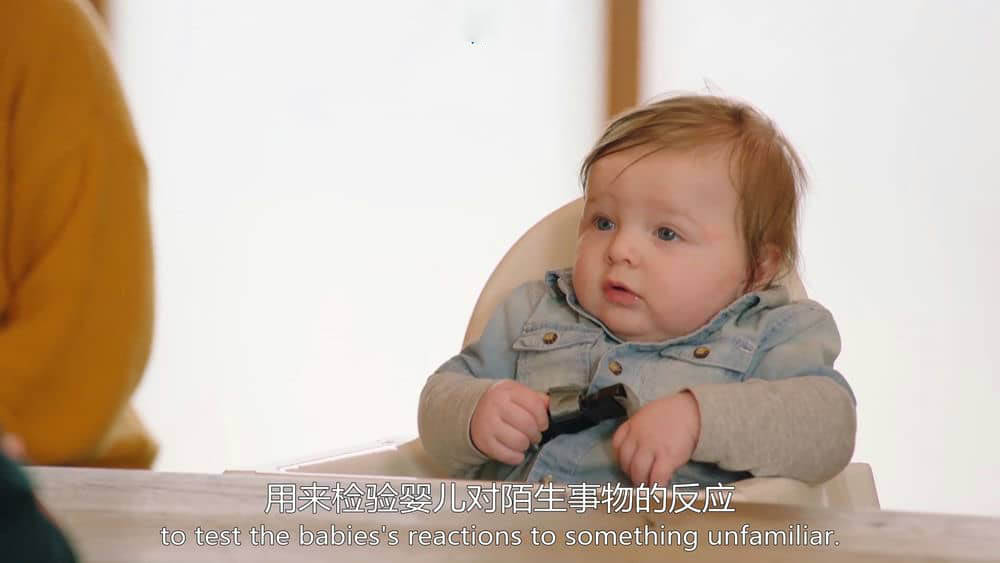 BBC纪录片《北鼻异想世界 The Wonderful World of Babies 2018》[全3集][中英双字][1080P][网盘][资源下载]