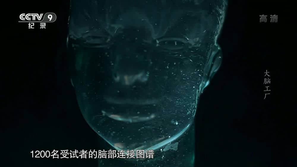 央视译制纪录片《大脑工厂 Brain Factory》[全1集][中字][1080P][网盘][资源下载]