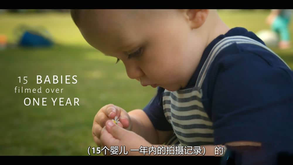 Netflix纪录片《宝贝 奇妙的第一年 Babies 2020》[全6集][中字][1080P][720P][网盘][资源下载]