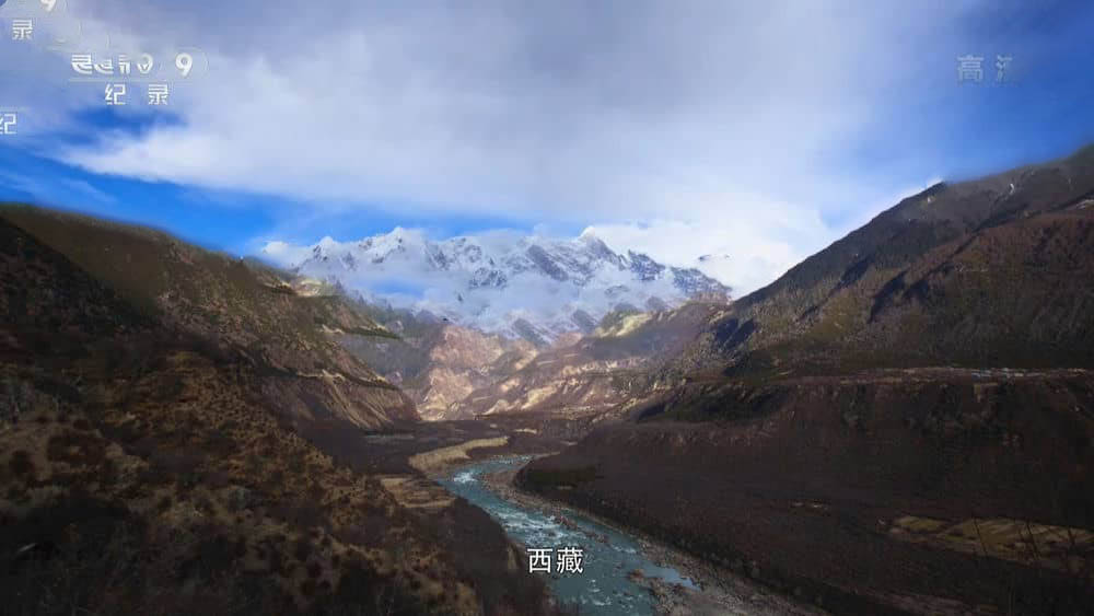 央视纪录片《路见西藏 Into Tibet 2019》[全5集][中字][1080P][网盘][资源下载]