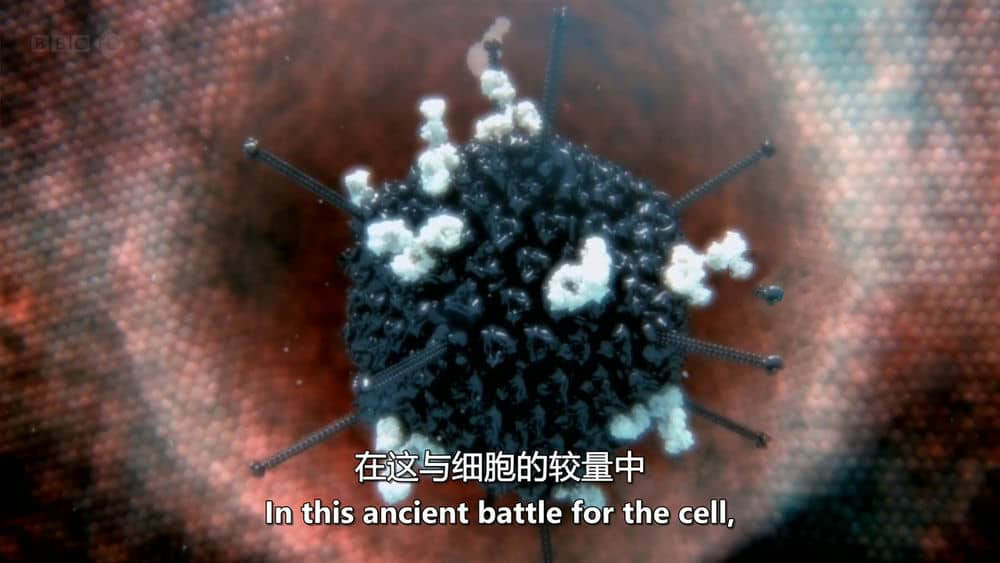 BBC纪录片《人体奥妙之细胞的暗战 Our Secret Universe:The Hidden Life of the Cell 2012》[全1集][中英双字][720P][网盘][资源下载]