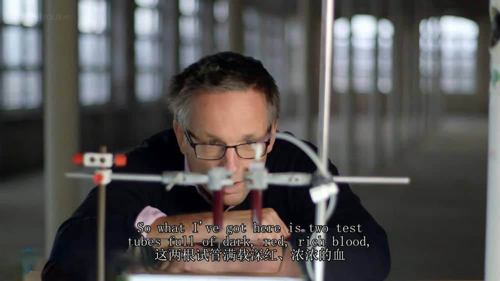 BBC纪录片《血的奇妙世界 神奇的血液世界 The Wonderful World of Blood with Michael Mosley》[全1集][中英双字][720P][网盘][资源下载]