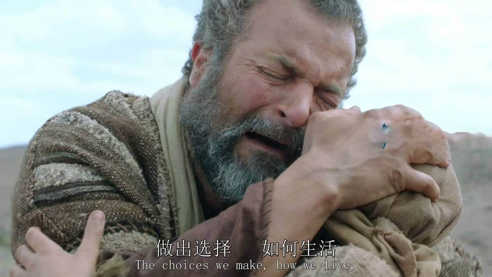 历史频道纪录片《圣经故事 The Bible 2013》[全10集][无字幕][外挂字幕][720P][网盘][资源下载]