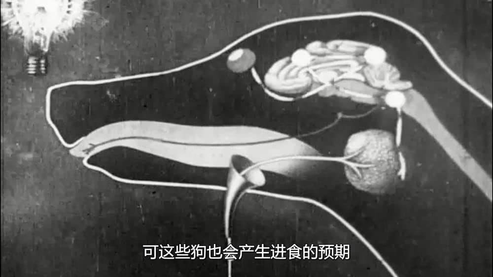 BBC纪录片《天才是怎样炼成的？What Makes a Genius? 2010》[全1集][中字][720P][网盘][资源下载]