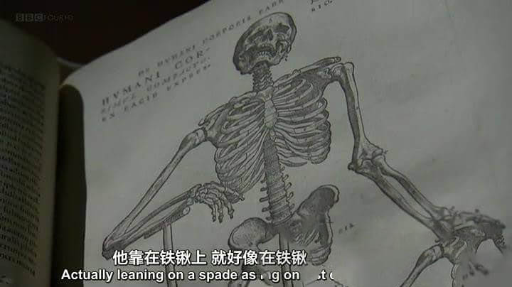 BBC纪录片《解剖学之美 解剖之美 The Beauty of Anatomy》[全5集][中英双字][720P][网盘][资源下载]