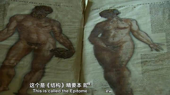 BBC纪录片《解剖学之美 解剖之美 The Beauty of Anatomy》[全5集][中英双字][720P][网盘][资源下载]