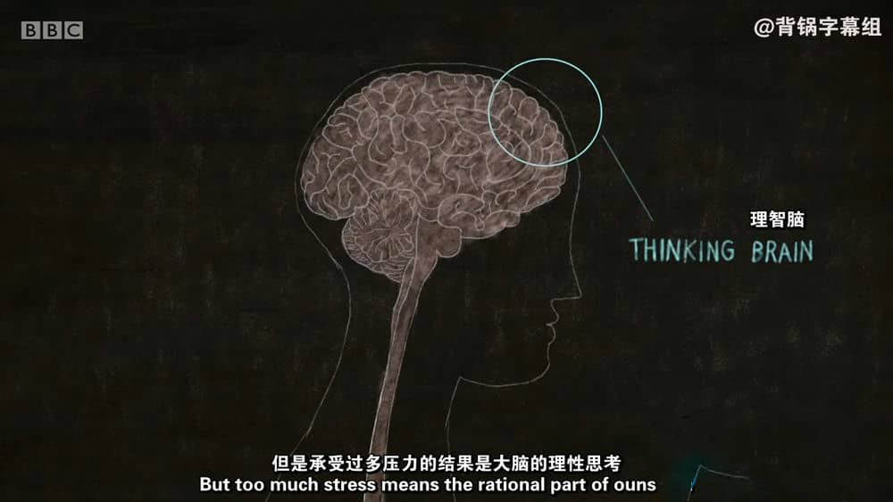 BBC纪录片《压力的真相 The Truth About Stress》[全1集][中字][720P][网盘][资源下载]