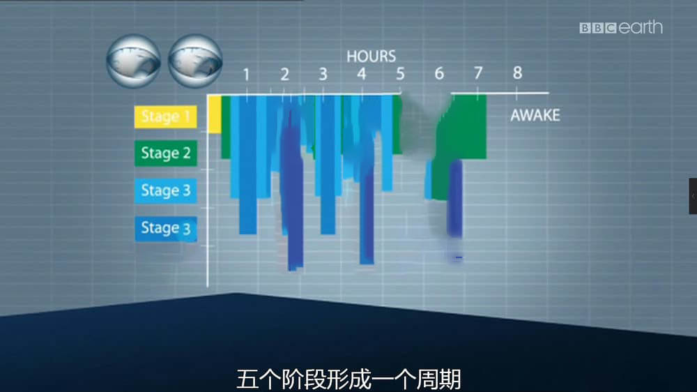 BBC纪录片《睡眠十律 10 Things You Need to Know About Sleep》[全1集][中字][1080P][网盘][资源下载]