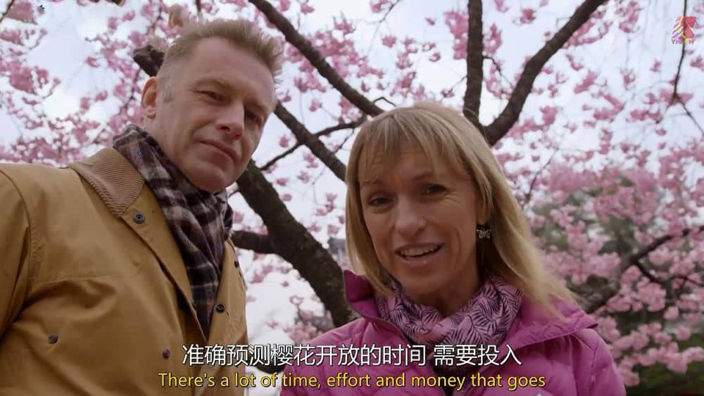 BBC纪录片《日本赏春—樱花盛开时节 Springwatch in Japan Cherry Blossom Time》[全1集][中英双字][720P][网盘][资源下载]