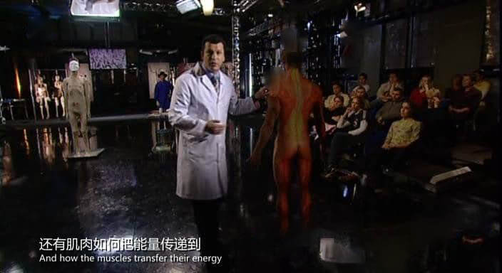 Ch4 《解剖学入门 Anatomy for Beginners 2005》[ 全4集][中字][DVD画质][网盘][资源下载]