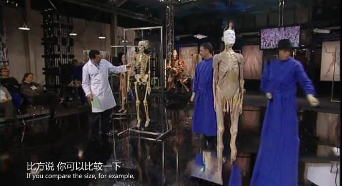 Ch4 《解剖学入门 Anatomy for Beginners 2005》[ 全4集][中字][DVD画质][网盘][资源下载]