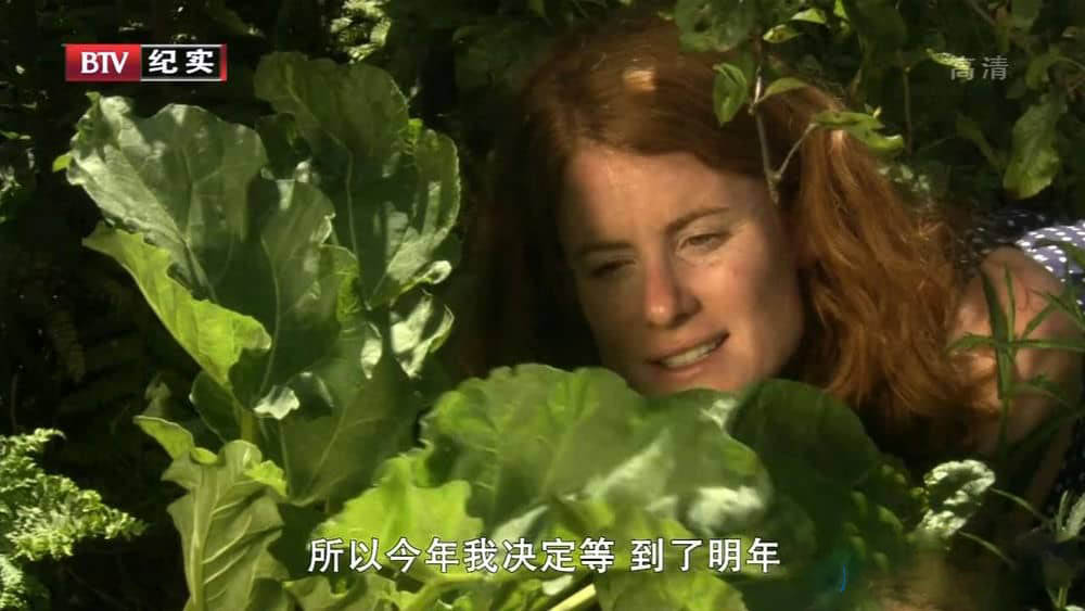 BTV译制纪录片《食材花园 The Edible Garden》[全3集][中字][1080P][720P][网盘][资源下载]