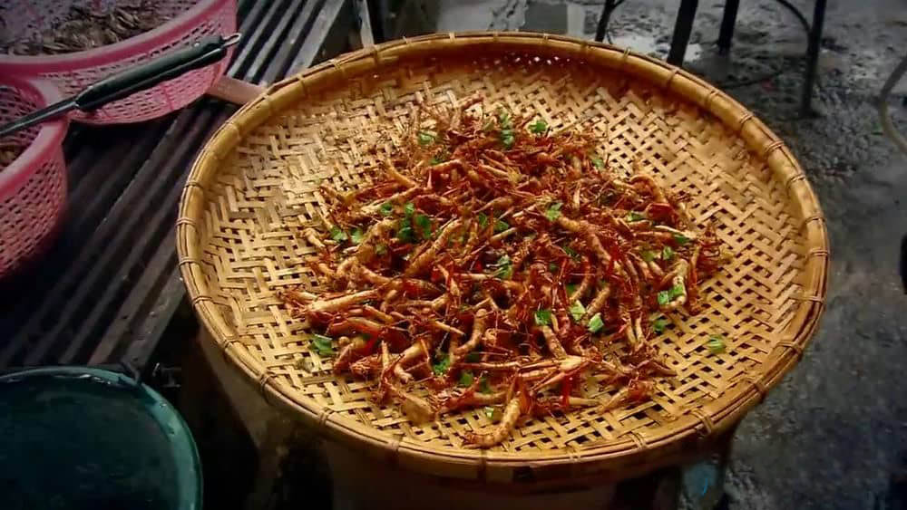 BBC纪录片《吃昆虫能拯救世界吗？Can Eating Insects Save the World?》[全1集][中英双字][720P][网盘][资源下载]