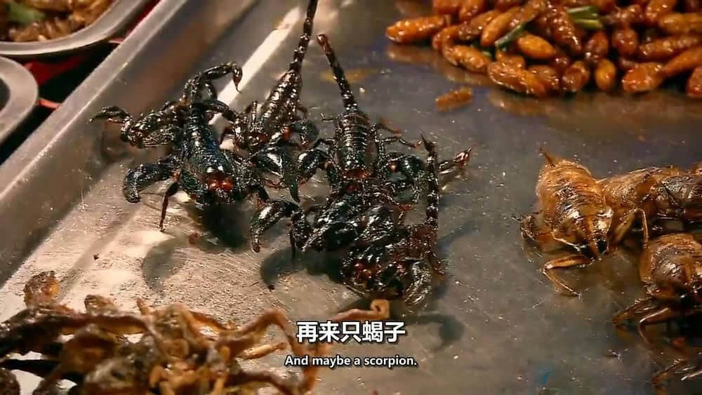 BBC纪录片《吃昆虫能拯救世界吗？Can Eating Insects Save the World?》[全1集][中英双字][720P][网盘][资源下载]