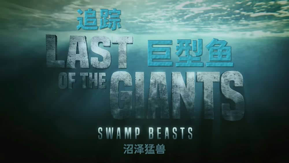 国家地理纪录片《追踪巨型鱼 最后的鱼类巨兽 Last of the Giants 2023》[第二季全8集][国英双轨][中字][1080P][网盘][资源下载]