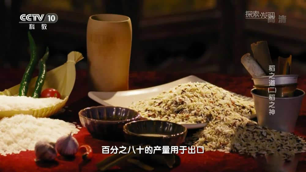 央视纪录片《稻之道》[全6集][中字][1080P][网盘][资源下载]