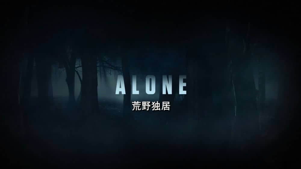 历史频道纪录片《荒野独居 独行侠 Alone 2016》[第二季全14集][中英双字][1080P][网盘][资源下载]