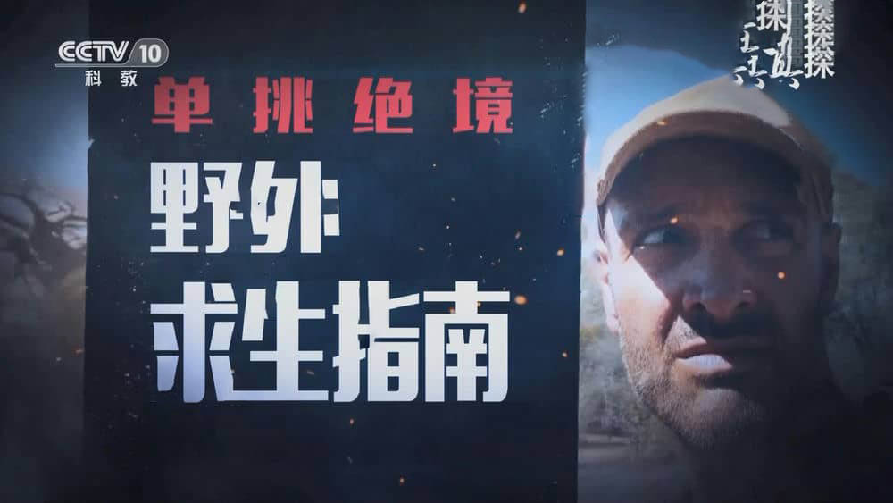 央视大真探《野外求生指南-单挑荒野绝境 Ed Stafford Left For Dead》[全6集][中字][1080P][网盘][资源下载]