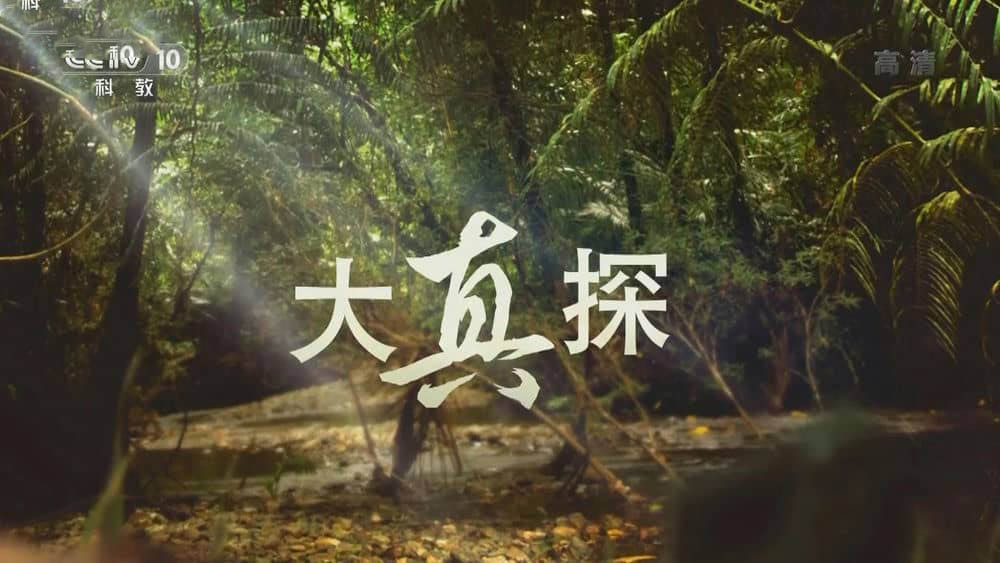 央视大真探《野外求生指南》[24集大合集][中字][1080P][网盘][资源下载]