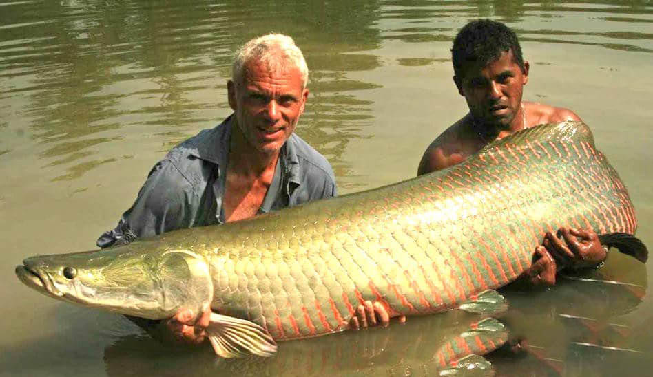 探索频道纪录片《河中巨怪 River Monsters》[第六季全6集][中字][1080P][网盘][资源下载]