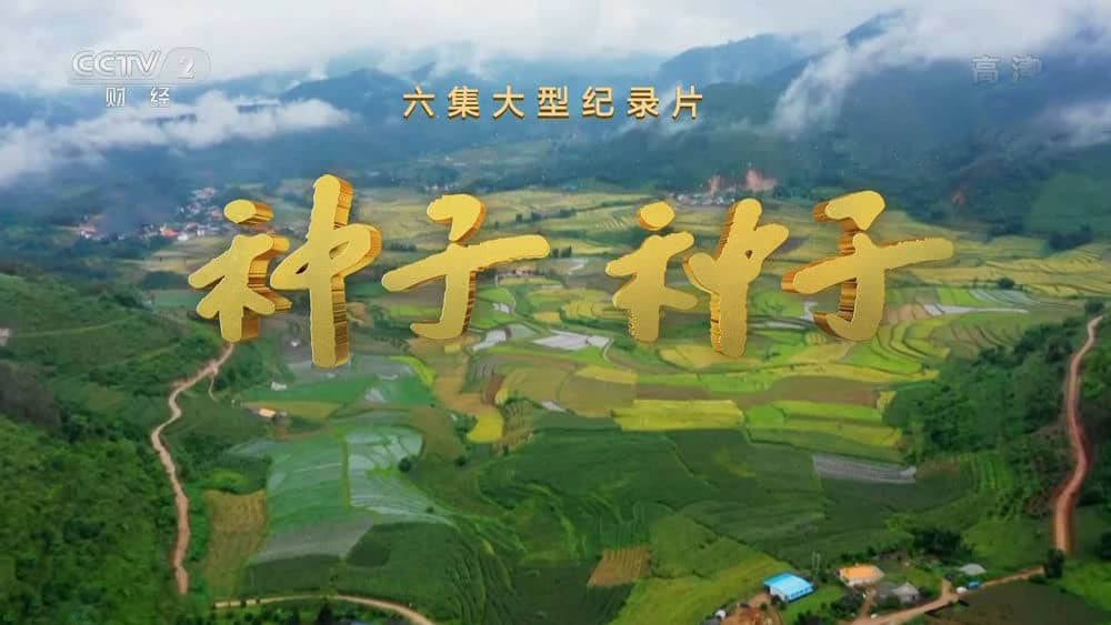 央视纪录片《种子 种子 2022》[全6集][中字][1080P][网盘][资源下载]