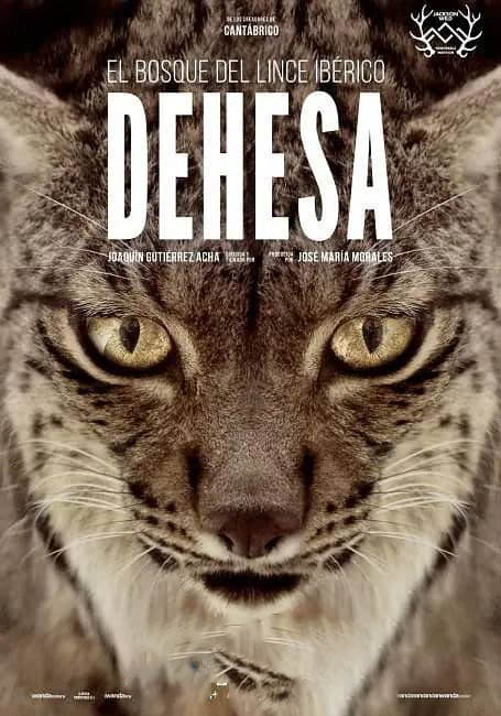 央视译制纪录电影《伊比利亚猞猁 Dehesa:El bosque del lince ibérico》[中字][1080P][网盘][资源下载]