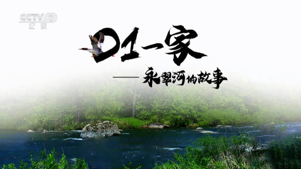 央视纪录片《D1一家——永翠河的故事 2023》[全3集][中字][1080P][网盘][资源下载]