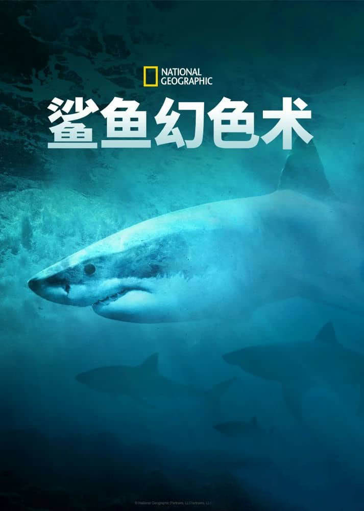 国家地理纪录片《鲨鱼幻色术 Camo Sharks 2022》[全1集][中字][1080P][网盘][资源下载]