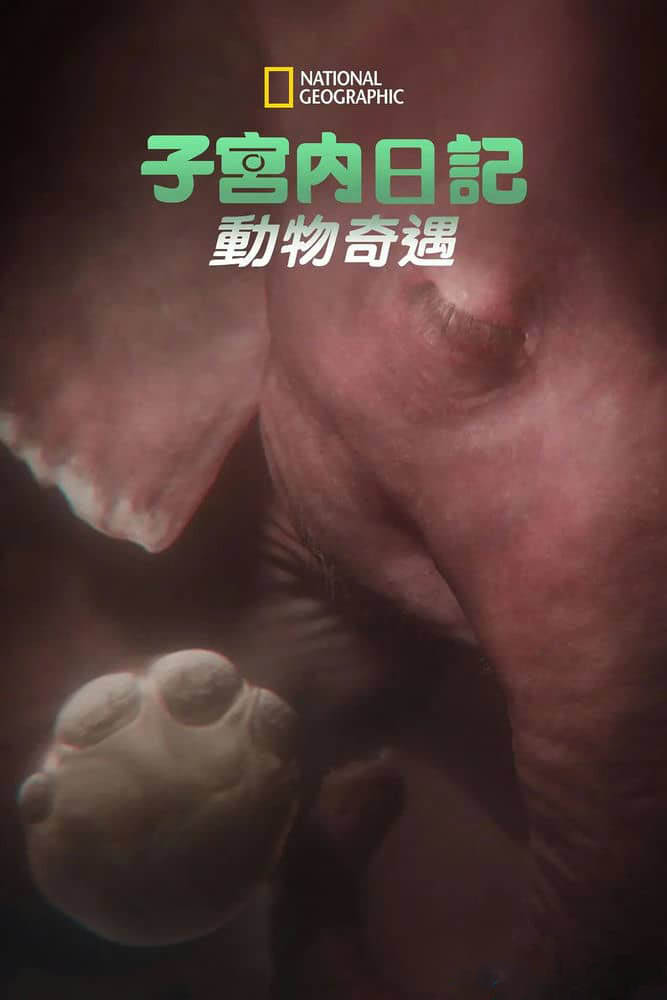 国家地理纪录片《子宫内日记：动物奇遇 In the Womb:Animal Babies 2022》[全2集][中字][1080P][网盘][资源下载]